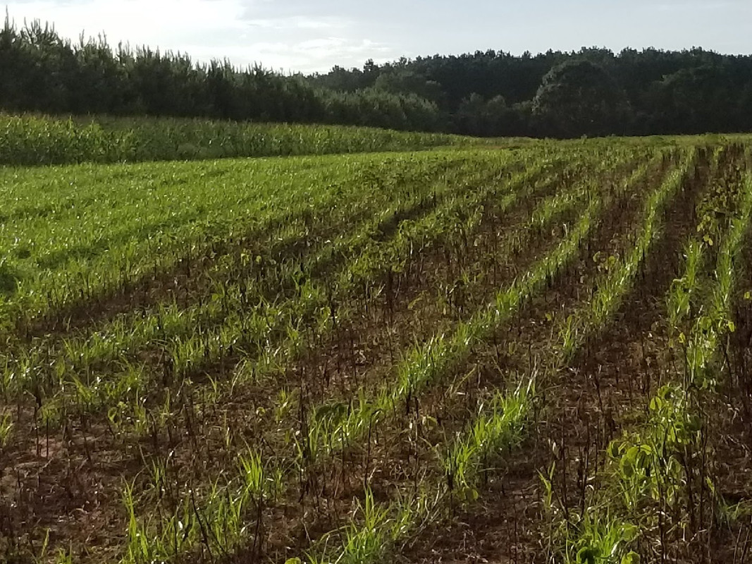 A747FB57-AD2A-4864-B0FA-FD27F9E9DB77