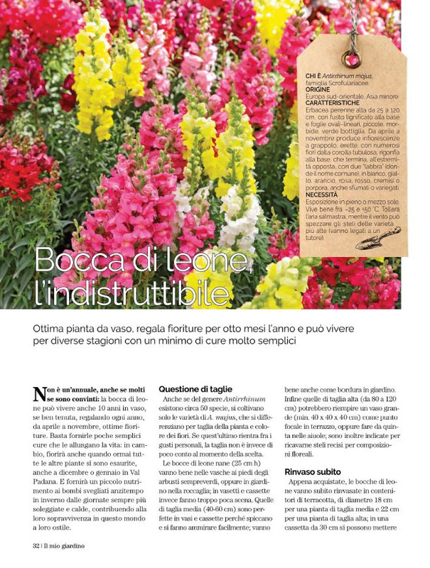 Il Mio Giar GIu-Lug 2022 (5)