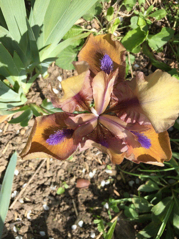 7011D9BE-88F3-4368-90C1-5A688D4C2420