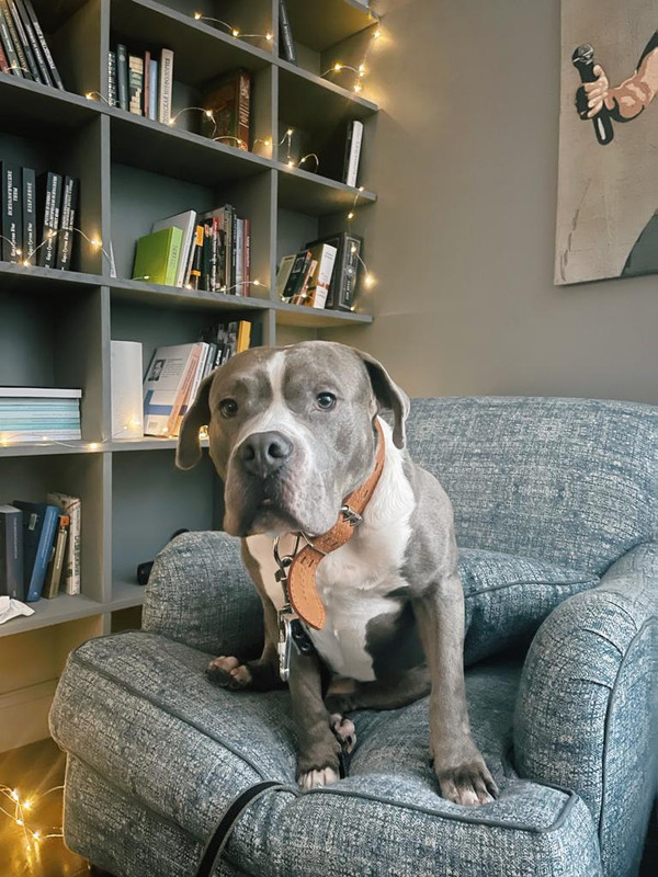 66D49FF3-67E0-4353-806E-A5CEAA39CDCC