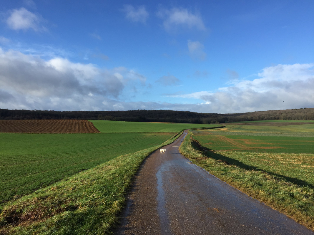 2676EA0C-3D47-4802-A717-F7EC2D1EE9CE