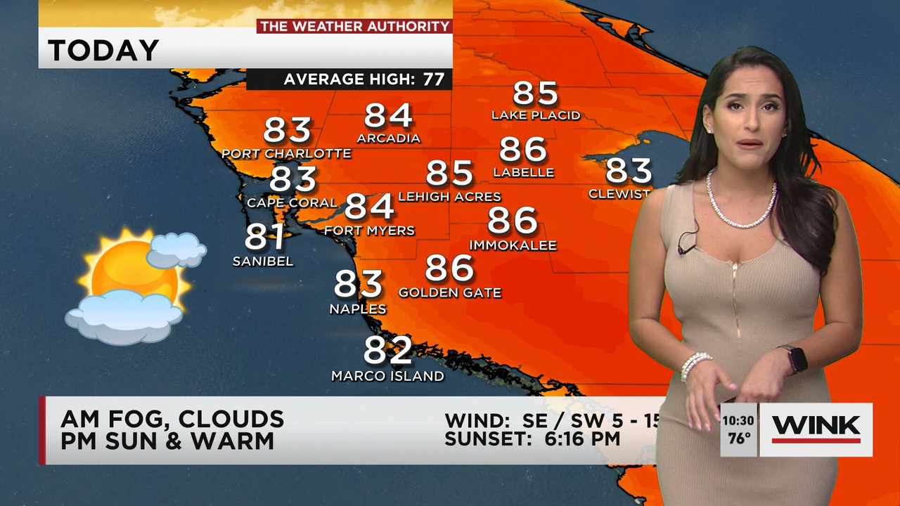 02.09 - 15.00.00 - WINK News at 10 00 a.m..ts_snapshot_00.31.23.749