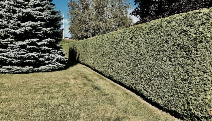 Jardin familial avec aire de jeux