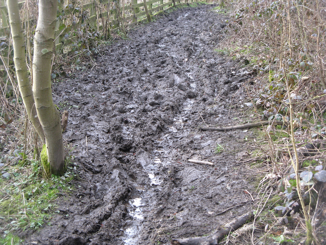 BF543BF5-8C85-48A0-9654-47FEF3FA426F