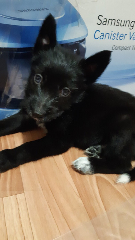 B6402B25-8268-4BE1-A727-33A972130A85