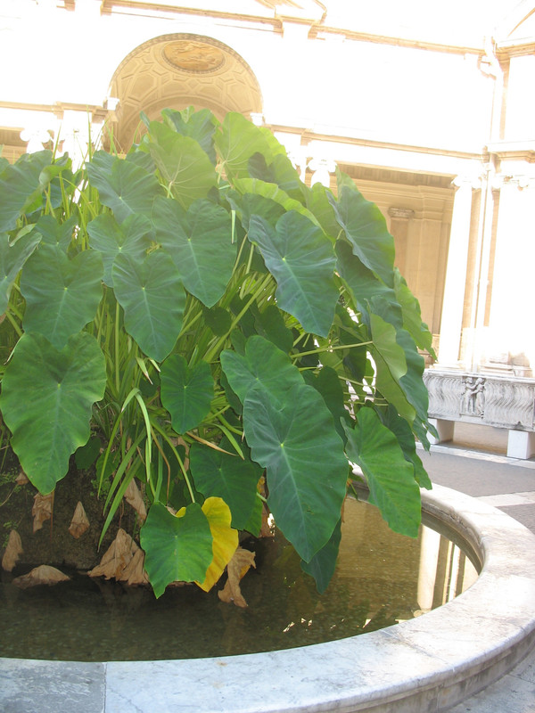 август - италия 207 (18)