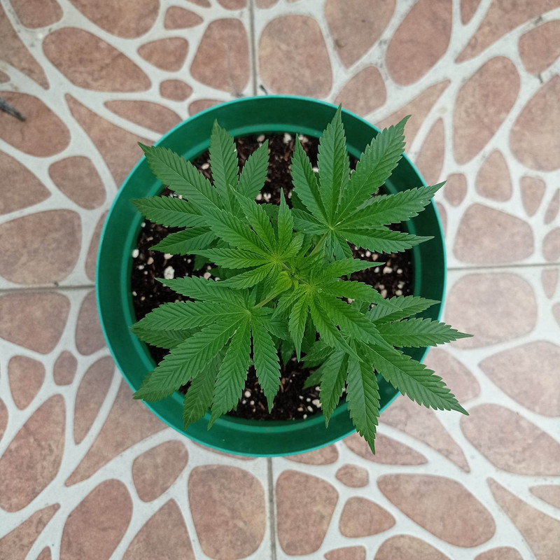 331506820_1228320027774926_8150750564304361873_n