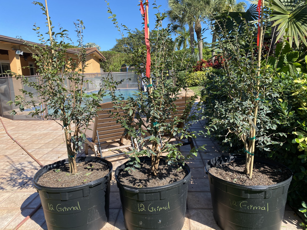 F435E4E6-F02F-4962-8047-44B0E2E3DD1C