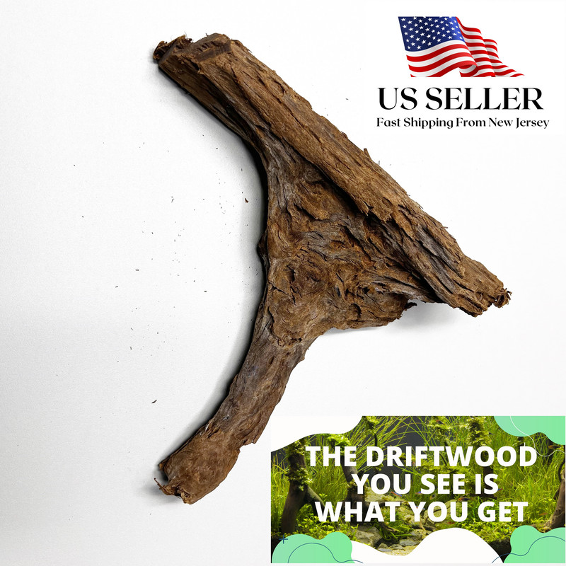 mangrovedriftwood