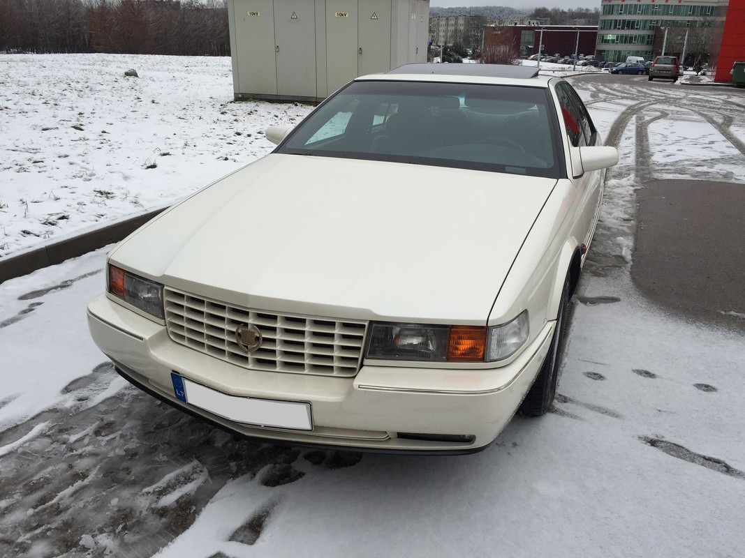 49118508_356283928494350_7038463349507489792_n