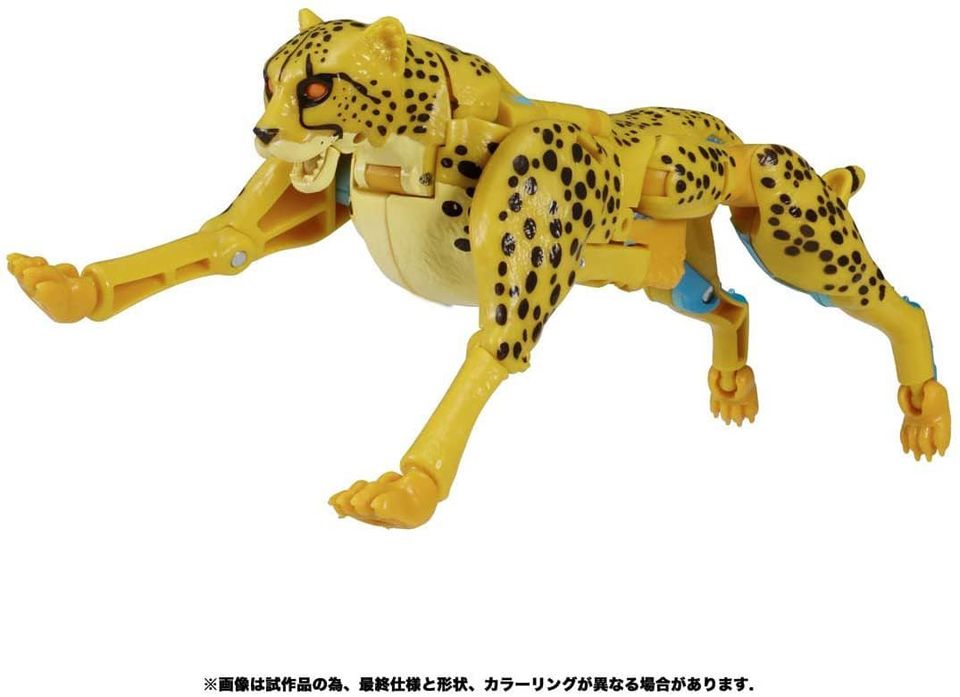 Kingdom-Cheetor-05