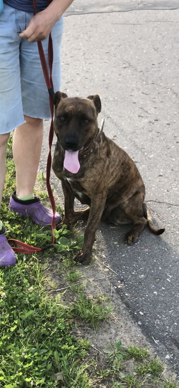 698F305D-C6D4-49CD-8C3F-D6D2FE385B2D