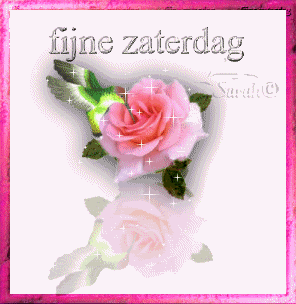 zaterdagplaatje045.gif