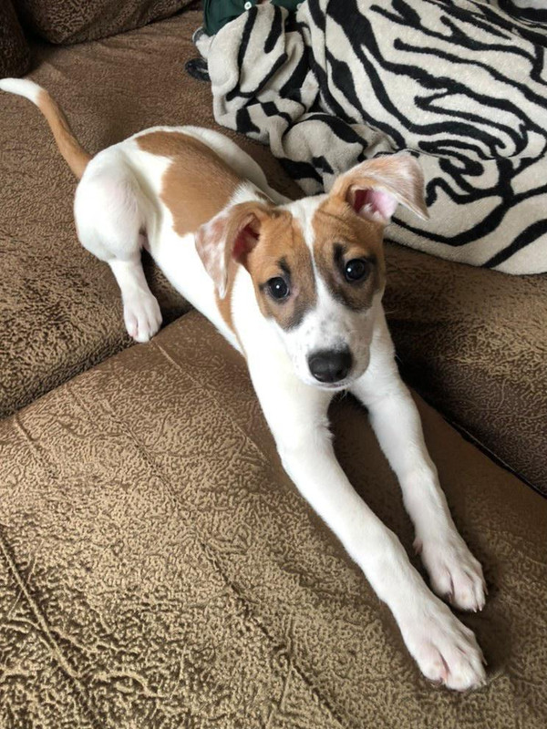 1B42B68C-8753-4852-9287-D7A13350A9FB