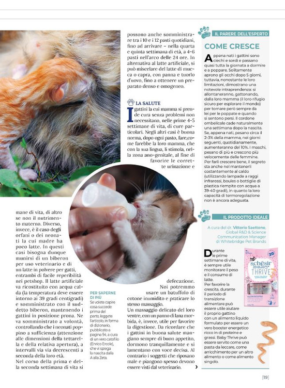 Ga Ma Ago-Set 2023 (4)