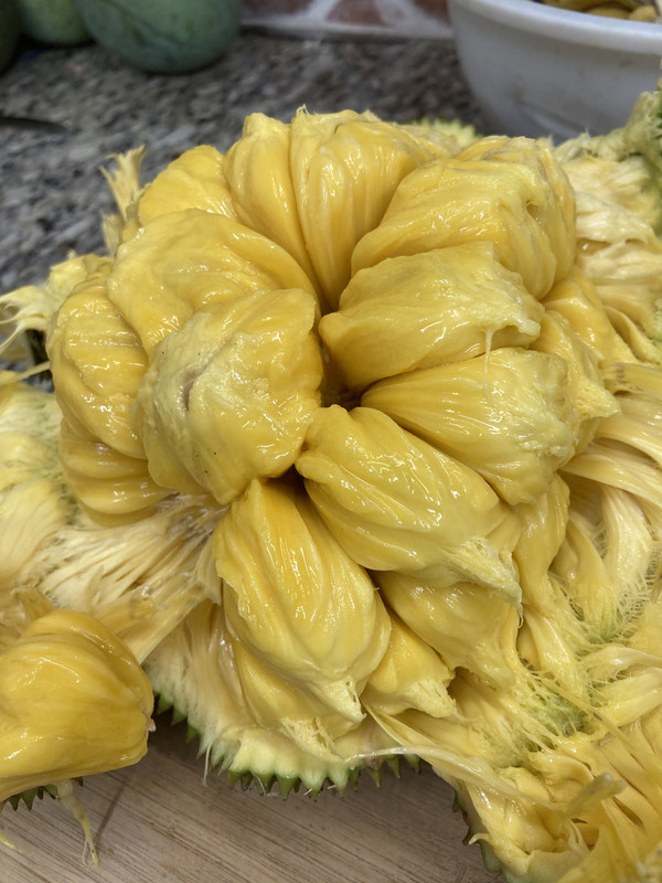 80A93E11-A4F8-48D4-BA3A-08E2BDE4F77D