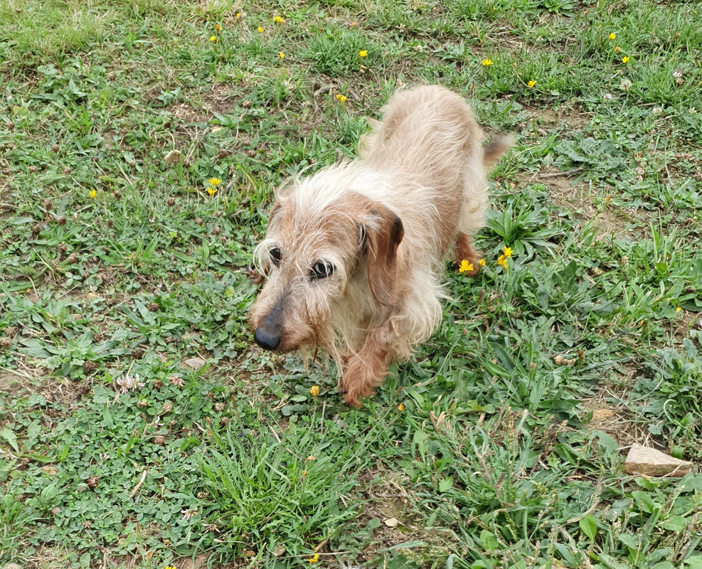 [Image: 20210919-175557.jpg]