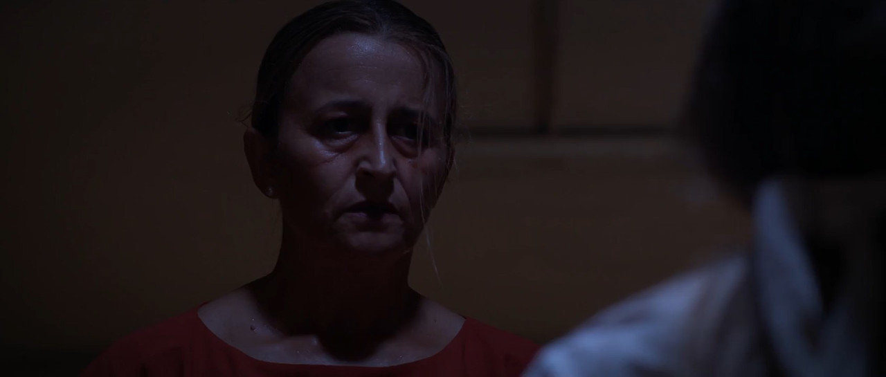 Slasher 2023 BluRay [Hindi + Tamil + Telugu + Spanish] 480p 720p ESub Screenshot