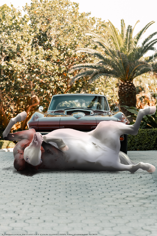 163DDA54-B54F-489F-8D13-1524760F0219