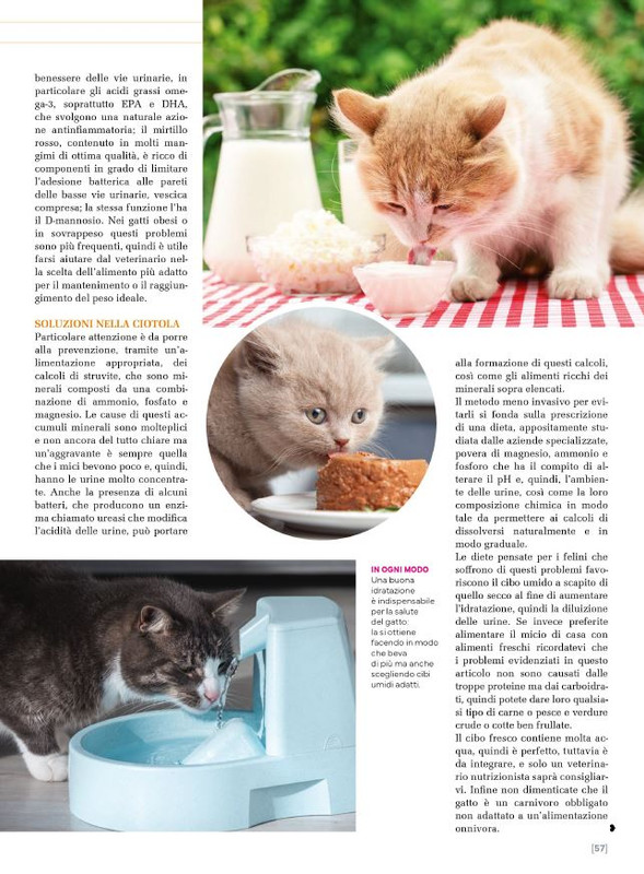 Ga Ma Apr-Mag 2025 (12)