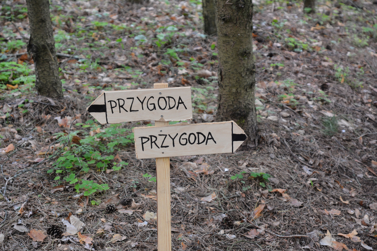 06.01 - DSC_5886 (Ater)