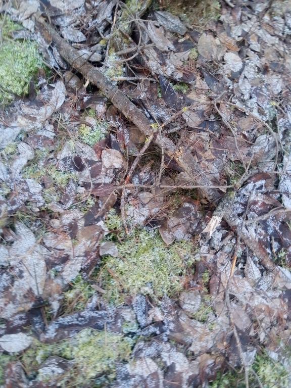 IMG 20251214 105113 851