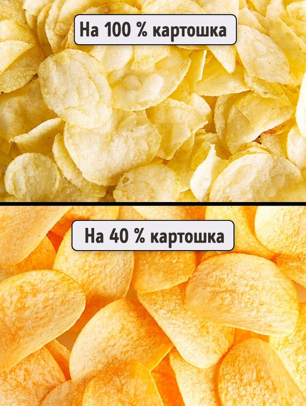 12 доказательств того, что наша жизнь — ложь