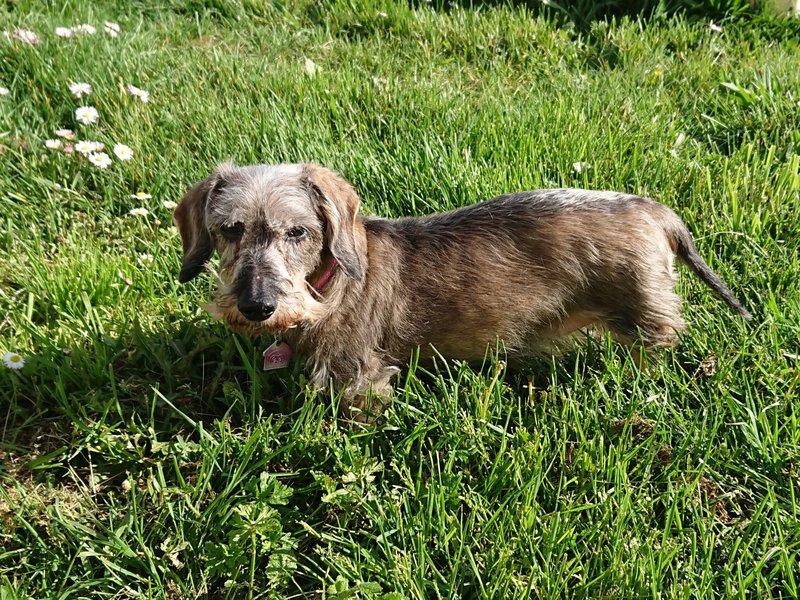 [Image: DSC-2583.jpg]