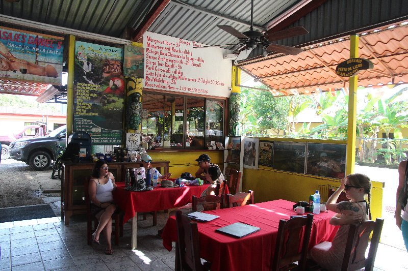 DIA 13: EXCURSIÓN DE UN DÍA A CORCOVADO - DE TORTUGAS Y PEREZOSOS. COSTA RICA 2019 (5)