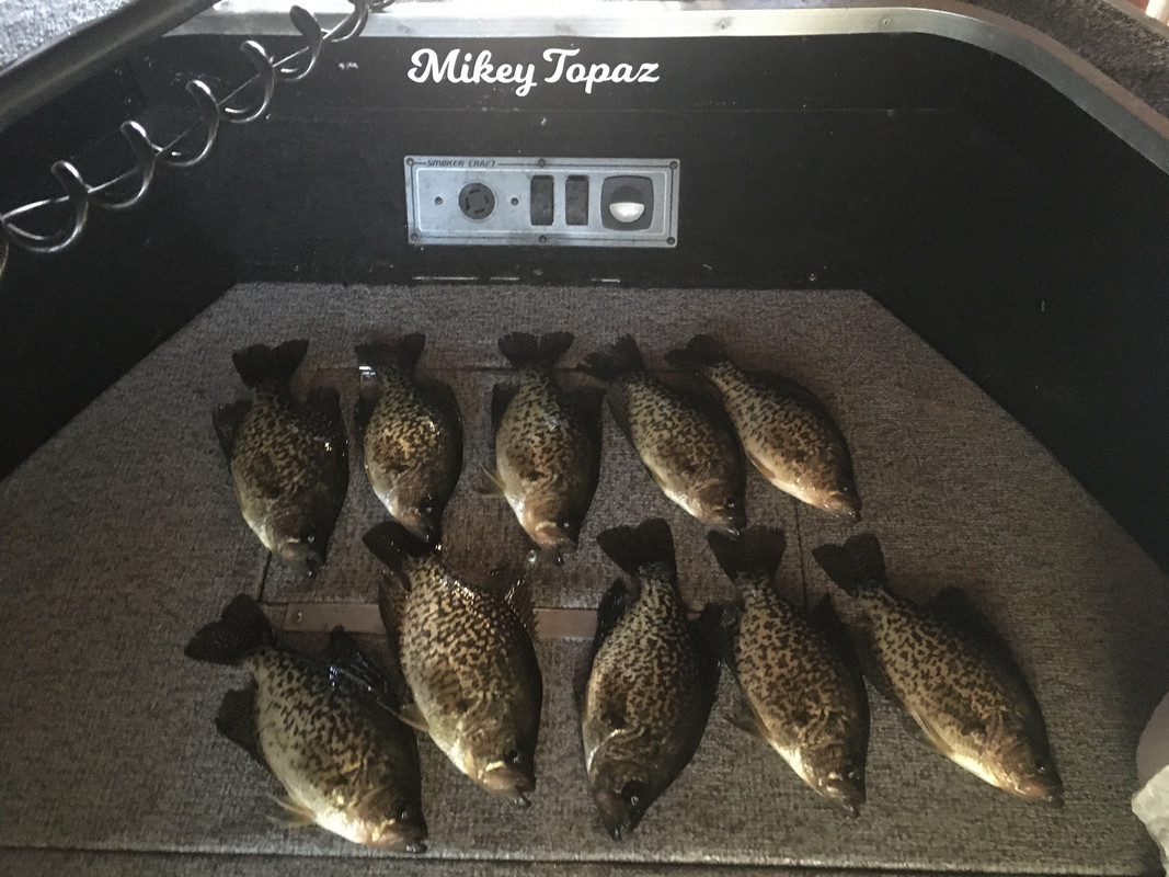 F504DD20-FF1A-4C0E-97CA-3C7E7CF5A702