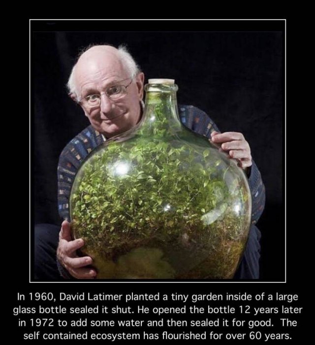Fascinating-35