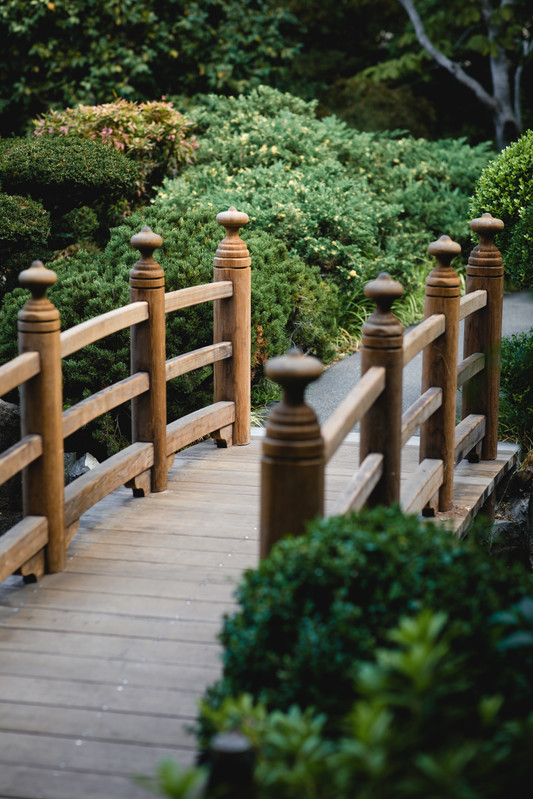 landscaping vs hardscaping