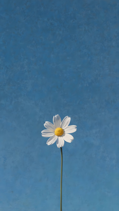 491434198_17873900958328121_8725794790624002223_n_upscaled