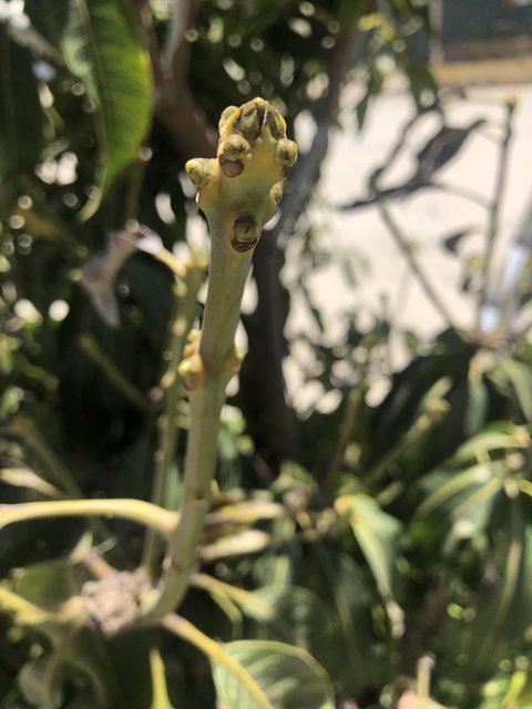 647F27F8-0261-461A-BCCC-C590EF31B2C9