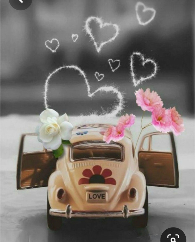 Screenshot_20230413_231848_Pinterest