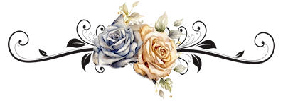 542f892be8311fa895fd0a4d549d3033
