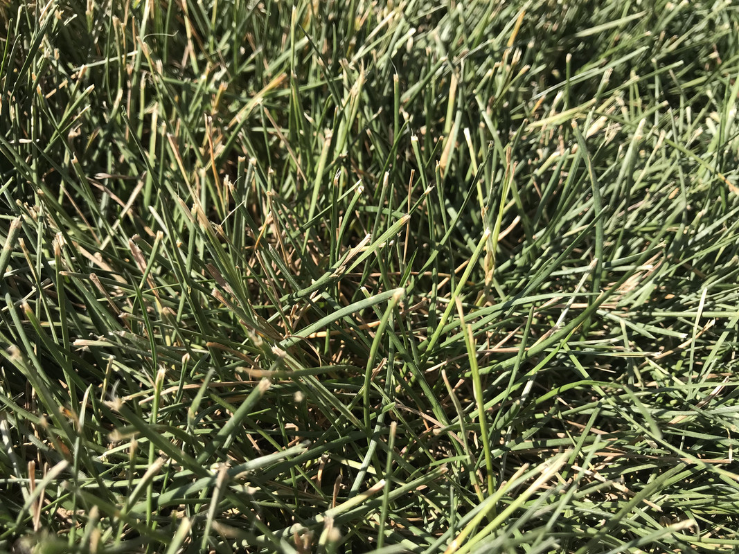 C46A57AB-9086-4E17-B08F-9C5BB10168BA