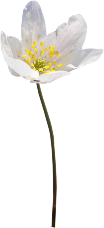 0_1c0e17_40982374_orig