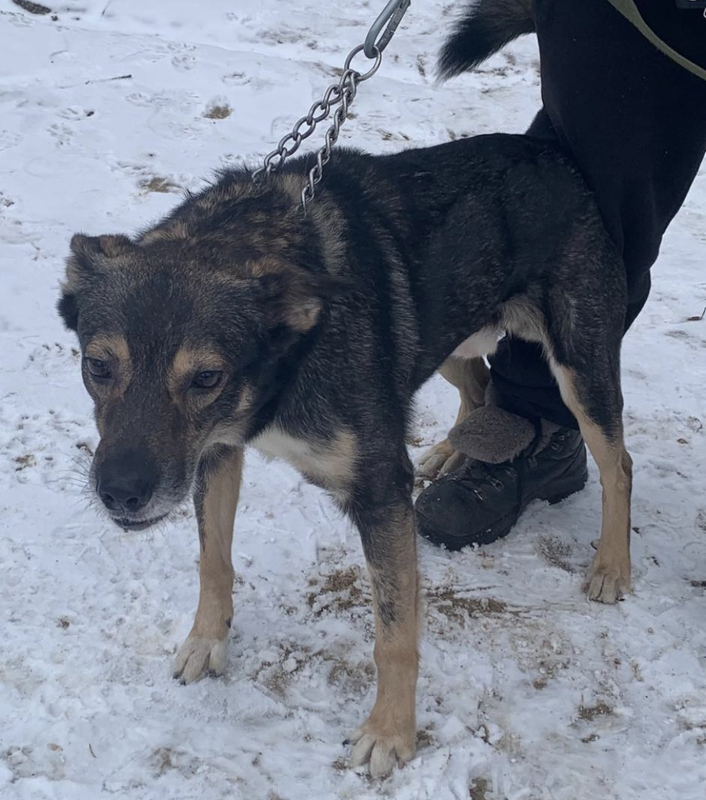 Снимок экрана 2025-02-19 в 12.50.44