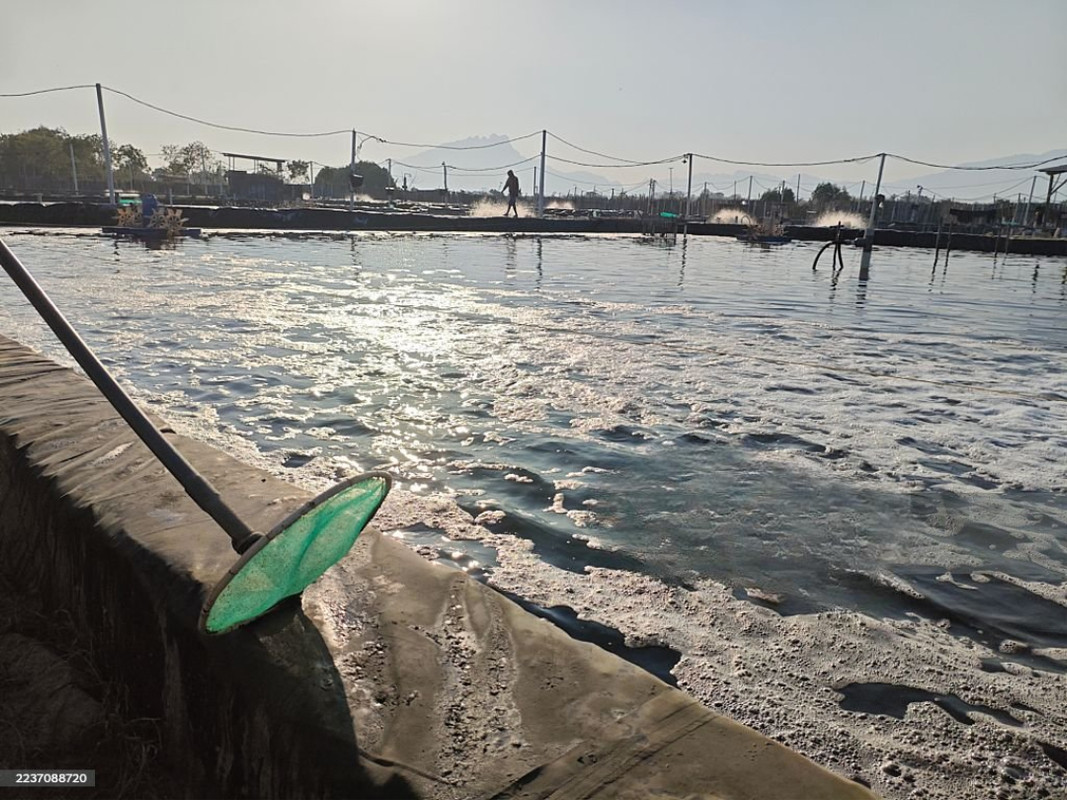 Aqua Lands / Fish Ponds