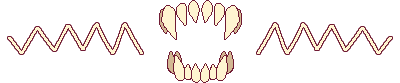 teeth