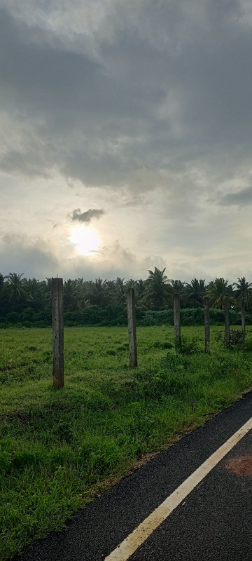 user39604_091e0715f2a3