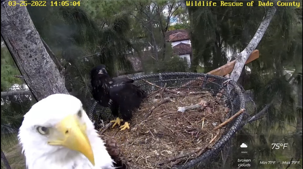 8A1CF1EA-71EA-4663-B459-F8A618710CBC