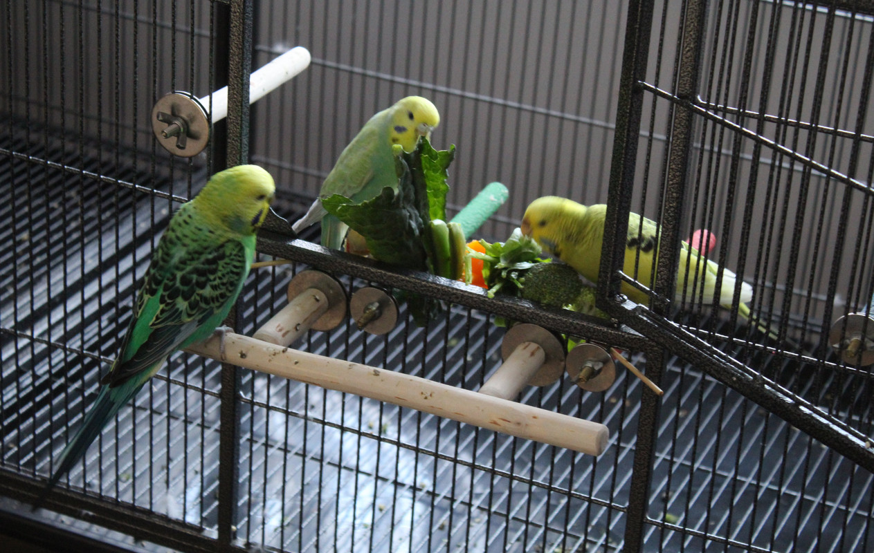 20230726092635 img 0647 — Postimages