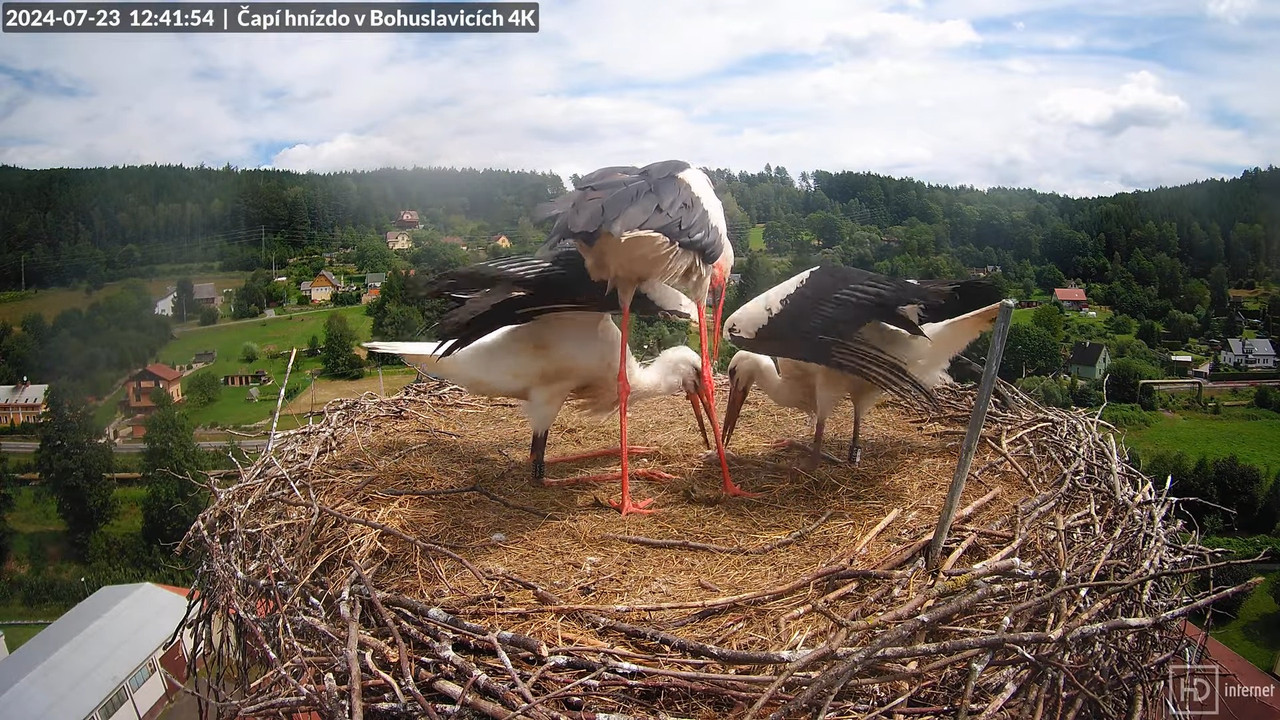 Tiešraidē no uzņēmuma KARA stārķa skursteņa Bohuslavicē pie Trutnovas 12-59-14 screenshot
