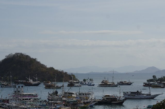 Indonesia y Kuala Lumpur en 18 días: El viaje de mi vida - Blogs de Indonesia - Día 11 - Bali - Flores: Llegamos a Labuanbajo (1)