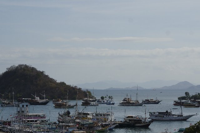 Día 11 - Bali - Flores: Llegamos a Labuanbajo - Indonesia y Kuala Lumpur en 18 días: El viaje de mi vida (1)