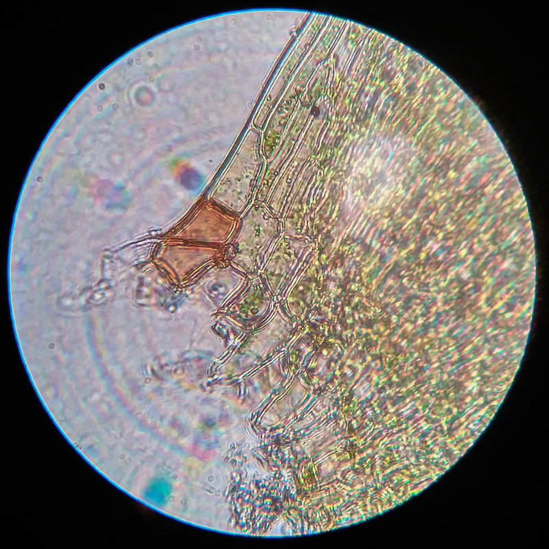 IMG 20250616 220427 HDR