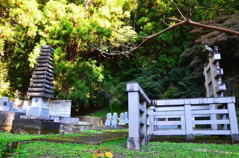 Japón y sus Pueblos-2024 - Blogs de Japon - Heiwa Kannon y Templo Ooyaji-13-11-2024 (50)