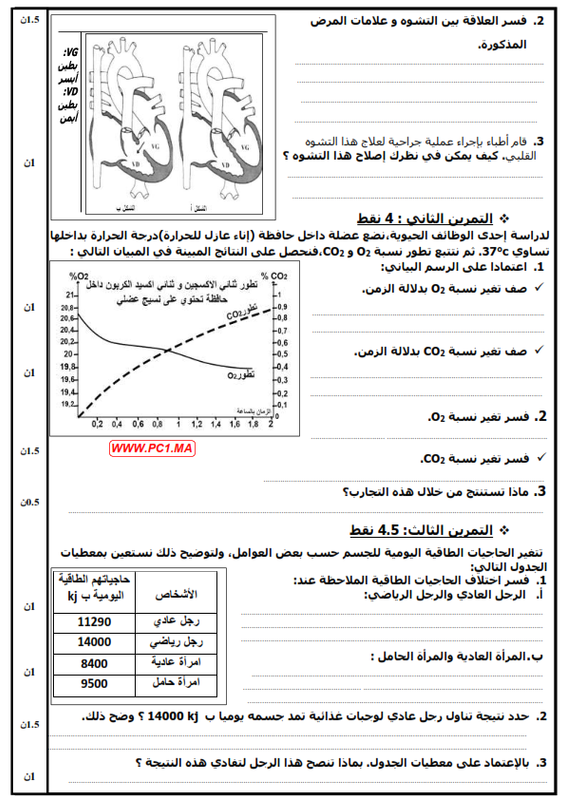 صورة